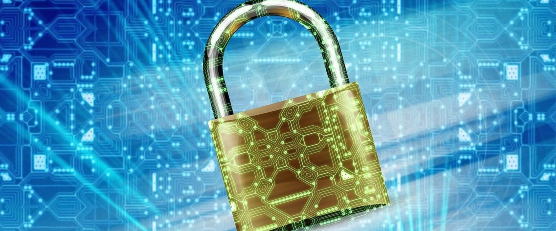 Ensuring Data Privacy When Using AI as a Service