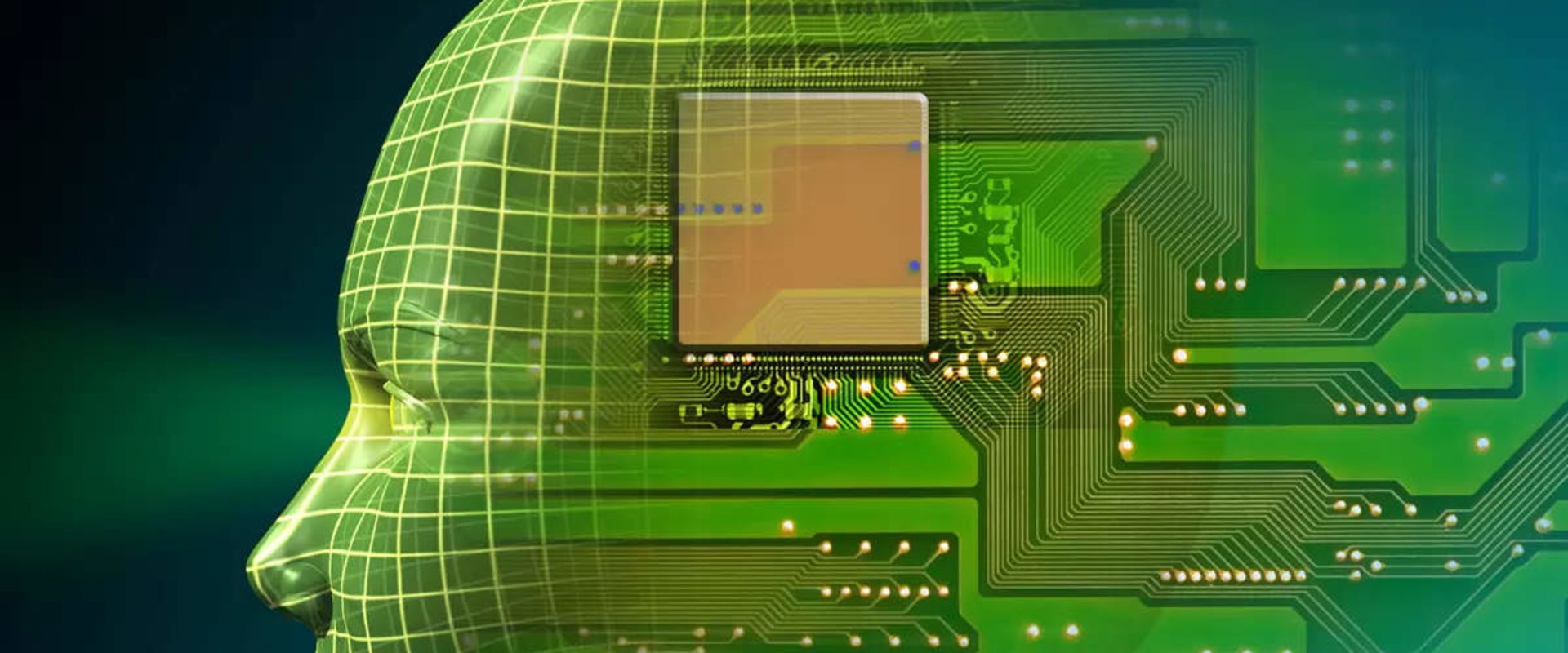 Protecting Data Privacy with AI as a Service